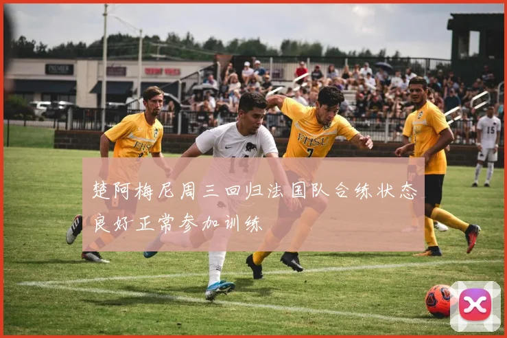 楚阿梅尼周三回归法国队合练状态良好正常参加训练