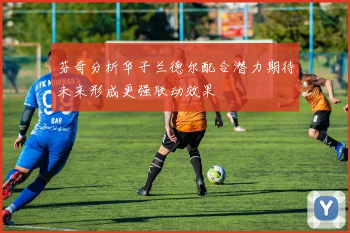 芬奇分析华子兰德尔配合潜力期待未来形成更强联动效果