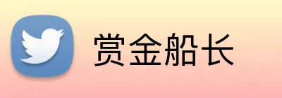 赏金船长 Logo